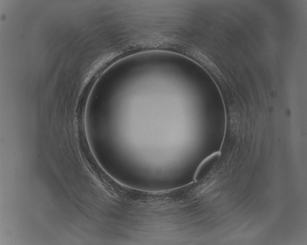 X0000073900626200608180959