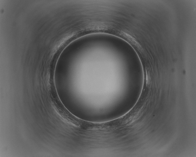 X0000073900627200608180959