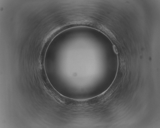 X0000073900628200608180959