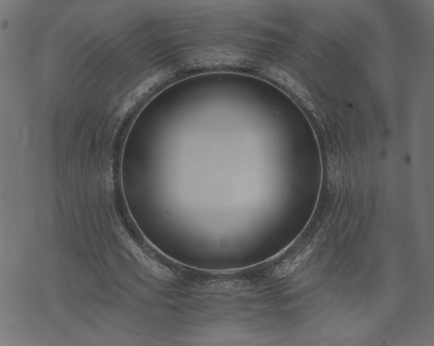 X0000073900629200608180959