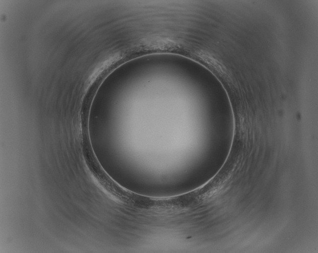 X0000073900630200608180959