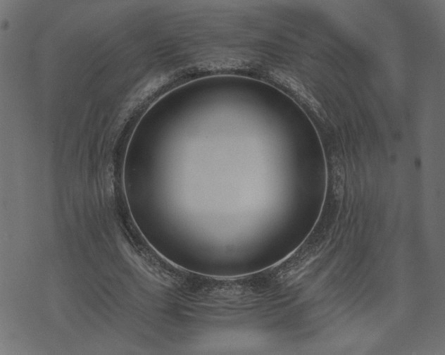 X0000073900631200608180959