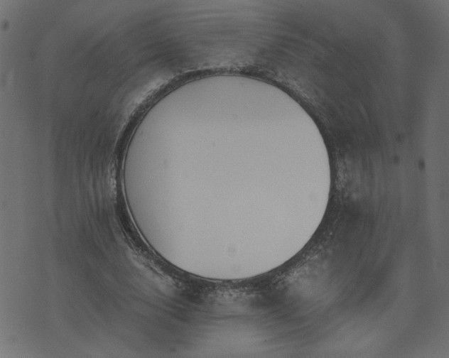 X0000073900632200608180959