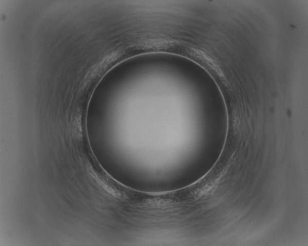 X0000073900633200608180959