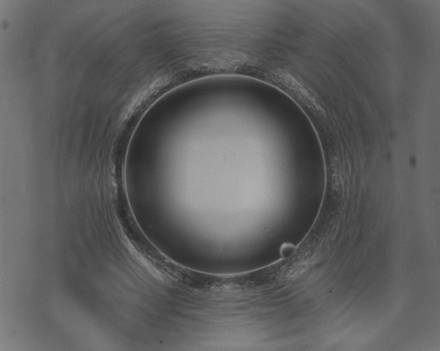 X0000073900634200608180959