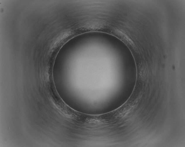 X0000073900635200608181000