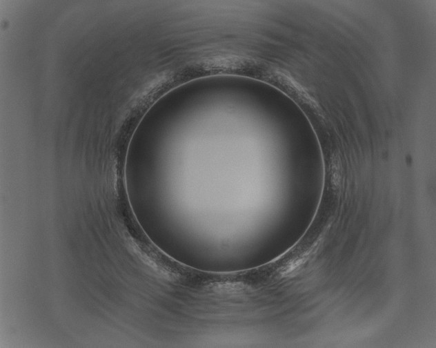 X0000073900637200608181000