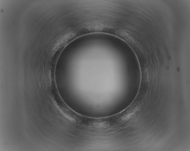 X0000073900638200608181000