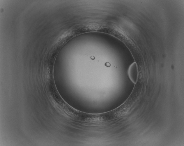 X0000073900639200608181000