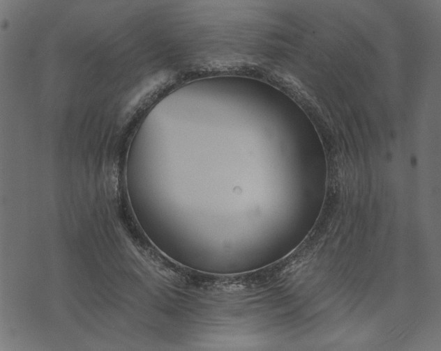 X0000073900640200608181000