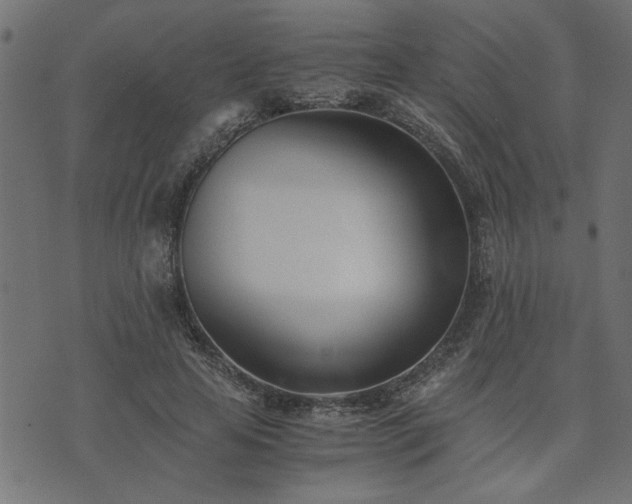 X0000073900641200608181000