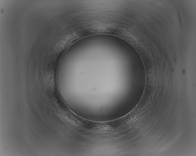 X0000073900642200608181000