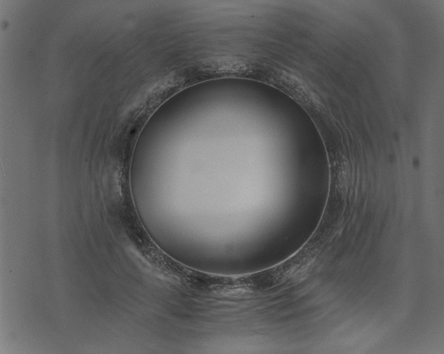 X0000073900643200608181000