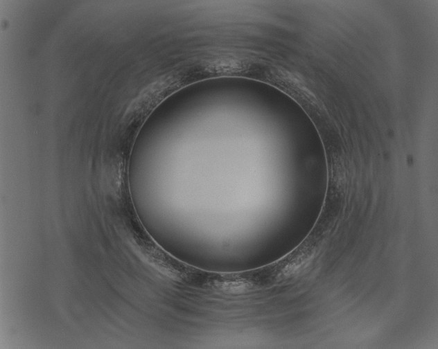 X0000073900645200608181000