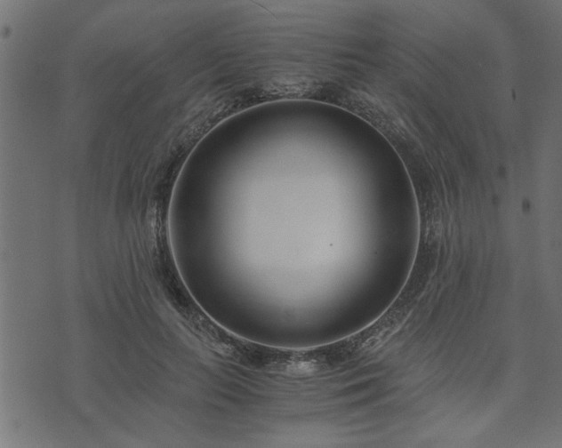 X0000073900647200608181000