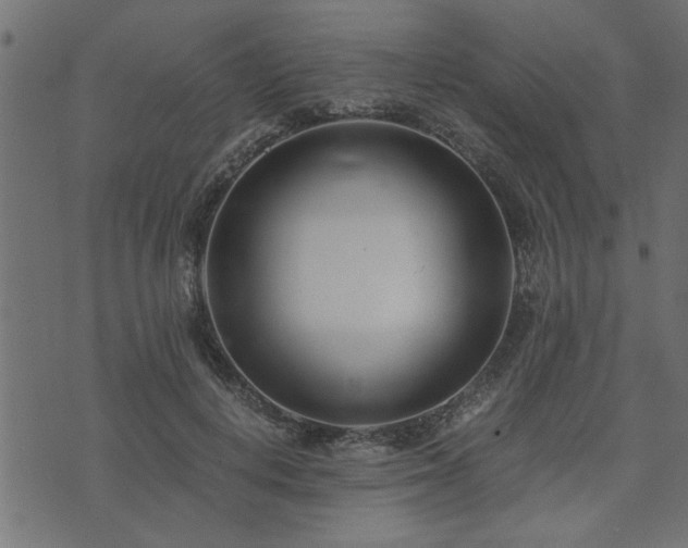 X0000073900648200608181000