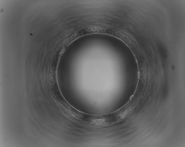 X0000073900653200608181000