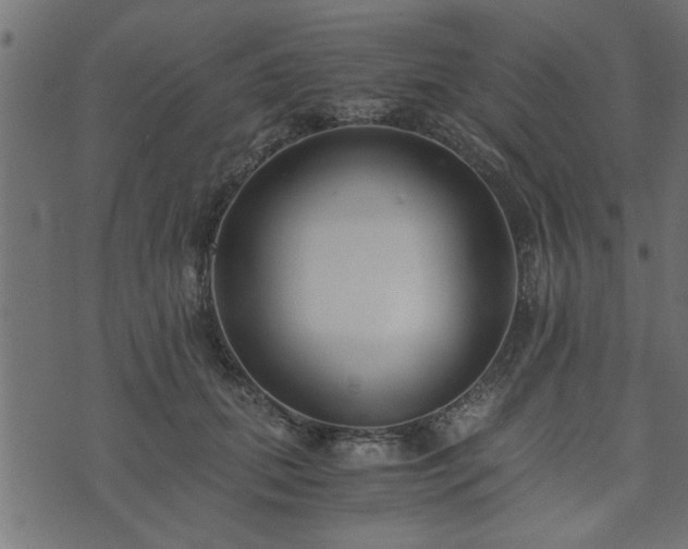 X0000073900655200608181000