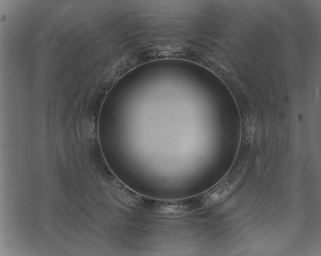 X0000073900657200608181000