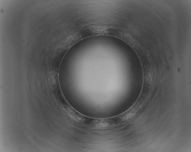 X0000073900658200608181000