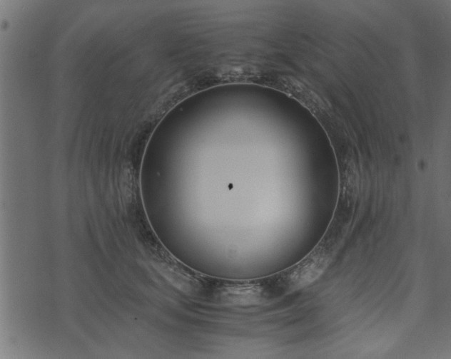 X0000073900659200608181000