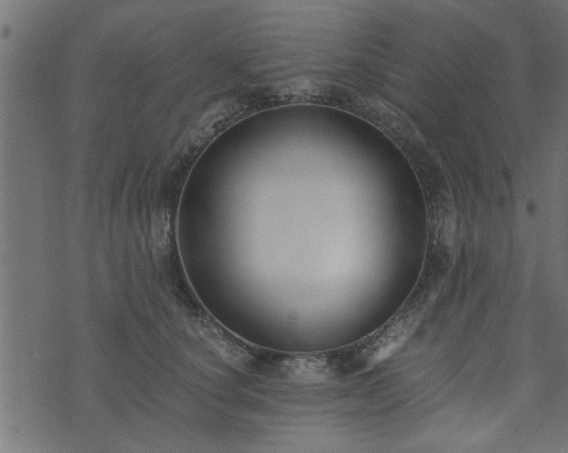 X0000073900660200608181000