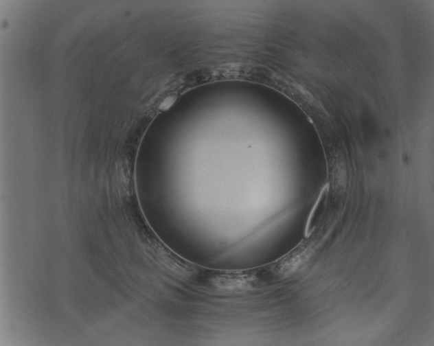 X0000073900661200608181000