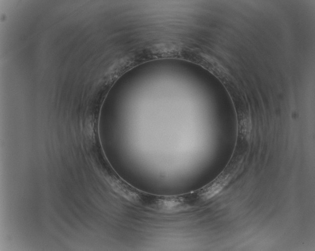 X0000073900662200608181000