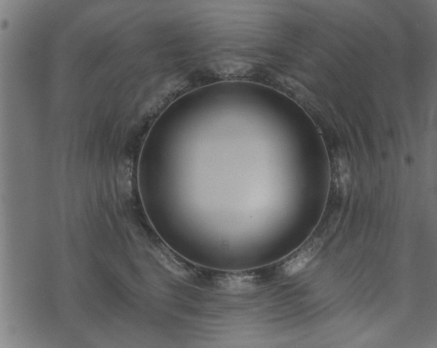 X0000073900664200608181000