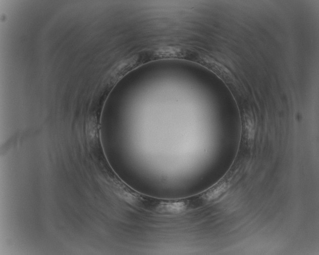 X0000073900665200608181000