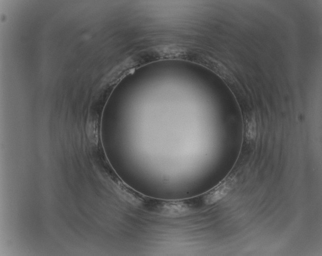 X0000073900666200608181000