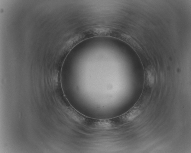 X0000073900668200608181000