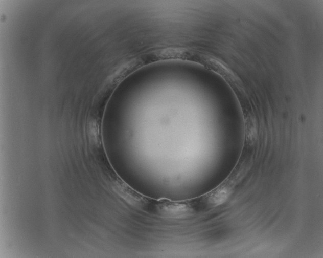 X0000073900669200608181000