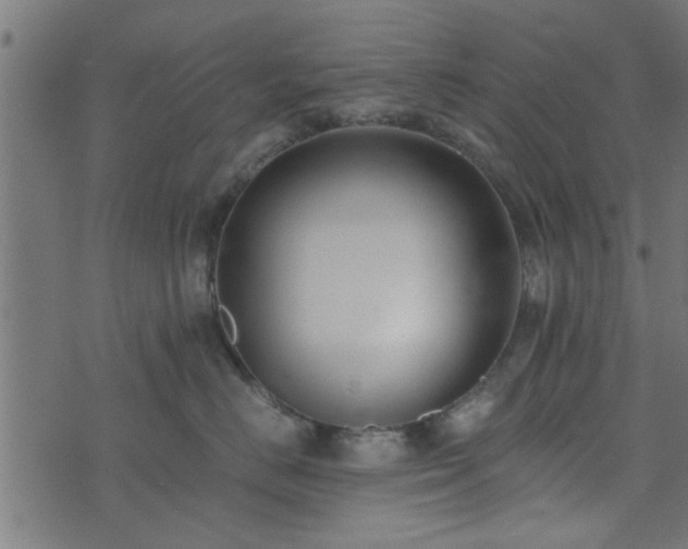 X0000073900670200608181000