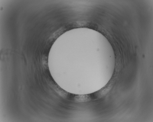 X0000073900672200608181000