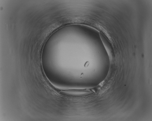 X0000073900673200608180959