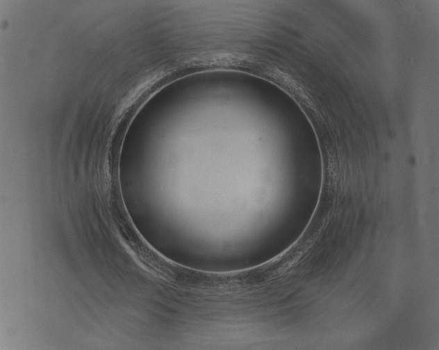 X0000073900674200608180959