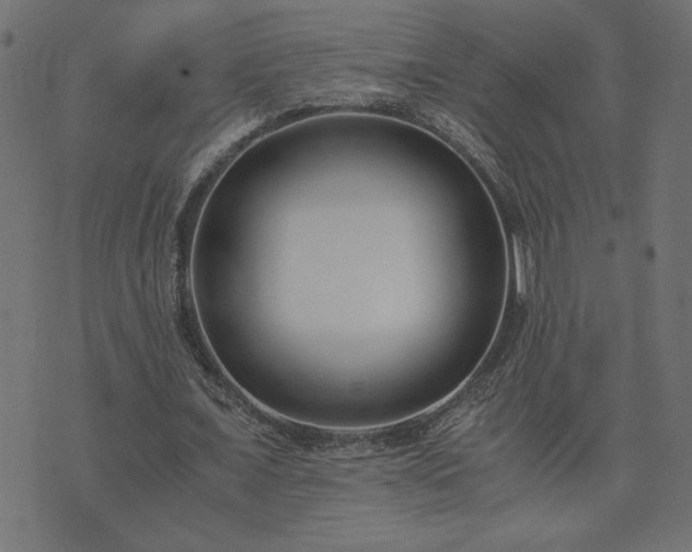 X0000073900675200608180959