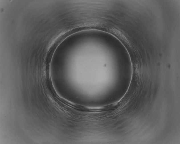 X0000073900676200608180959