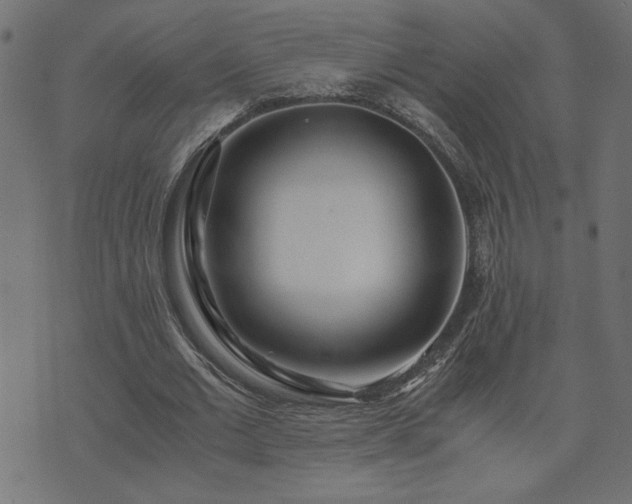 X0000073900677200608180959