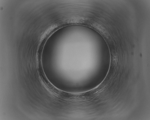 X0000073900678200608180959