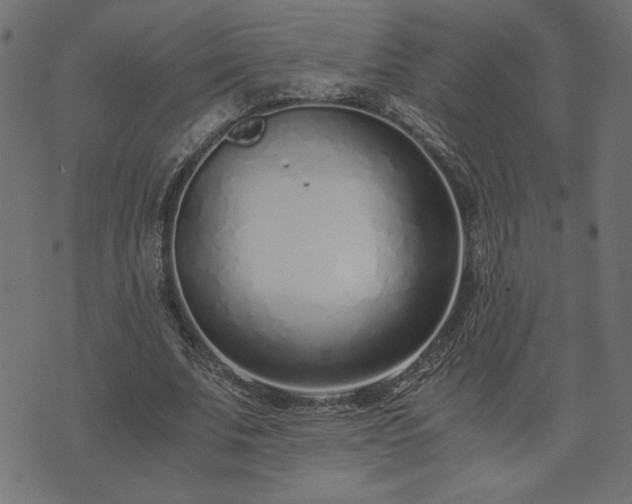 X0000073900679200608180959