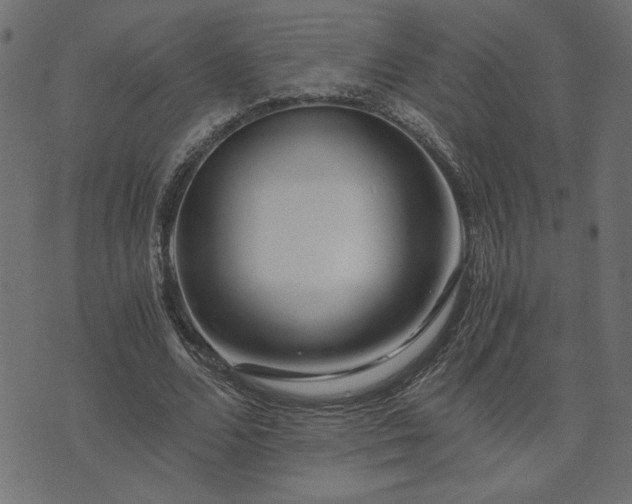 X0000073900680200608180959