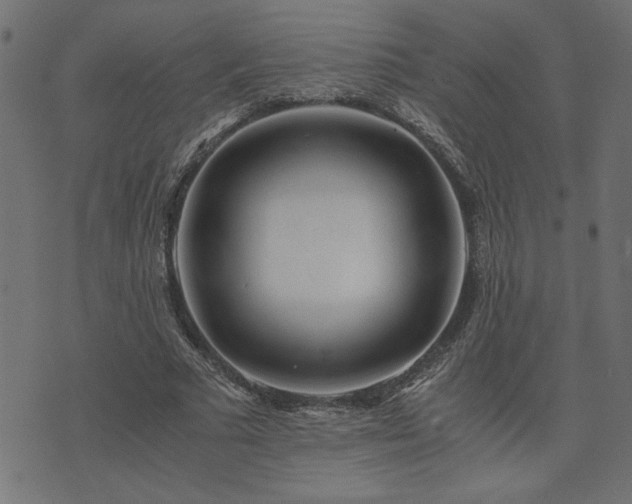 X0000073900681200608180959