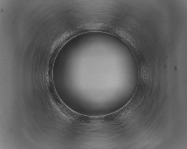 X0000073900682200608180959