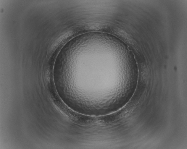 X0000073900683200608180959