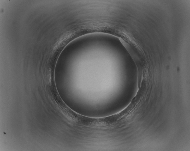 X0000073900685200608180959