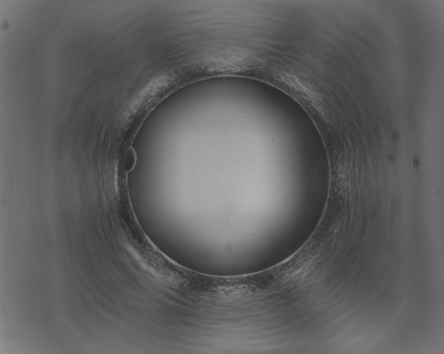 X0000073900686200608180959