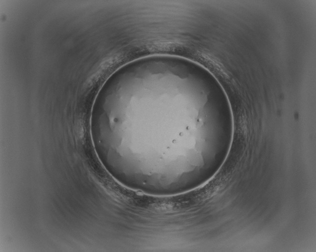 X0000073900687200608180959