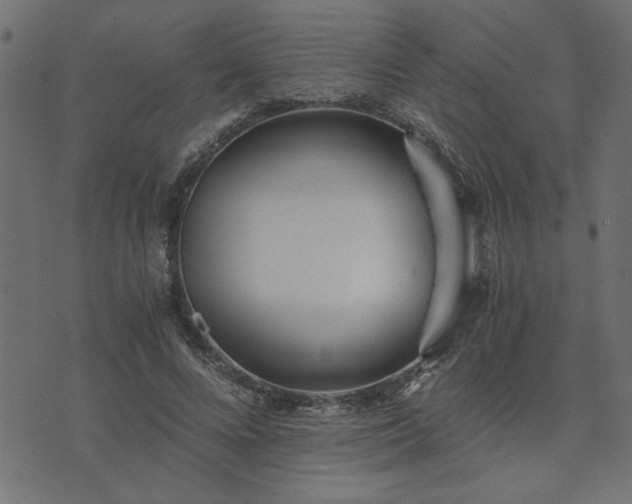 X0000073900688200608180959